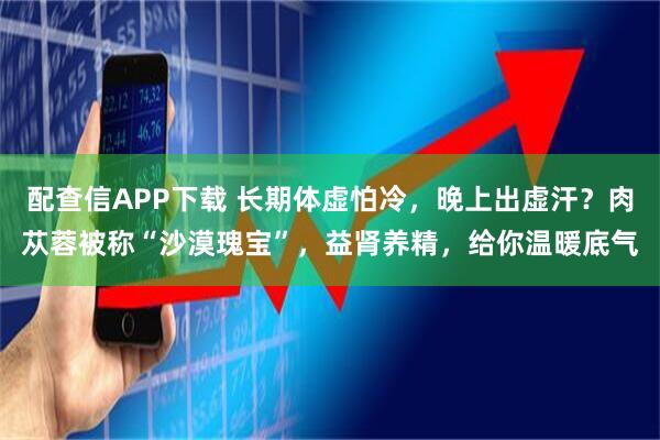 配查信APP下载 长期体虚怕冷，晚上出虚汗？肉苁蓉被称“沙漠瑰宝”，益肾养精，给你温暖底气