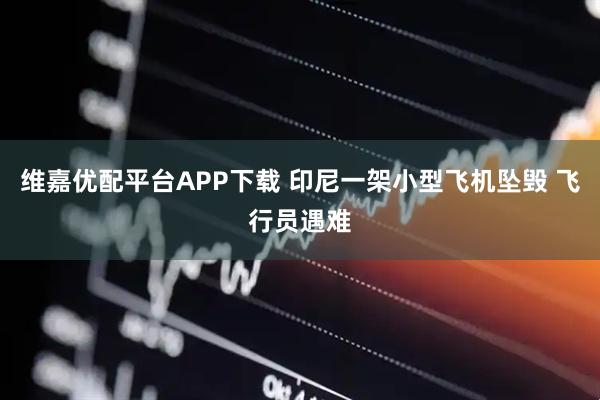 维嘉优配平台APP下载 印尼一架小型飞机坠毁 飞行员遇难
