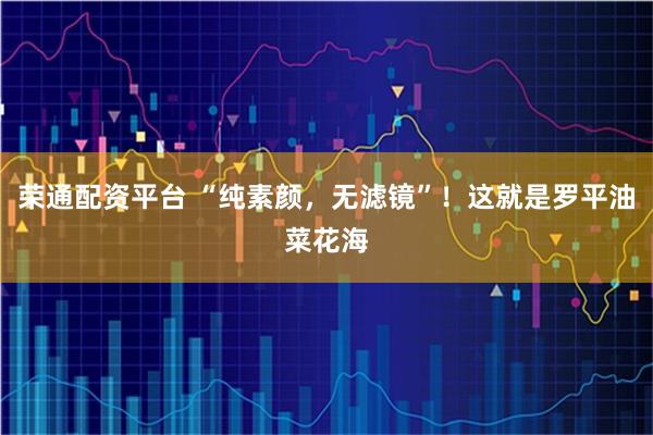 荣通配资平台 “纯素颜，无滤镜”！这就是罗平油菜花海