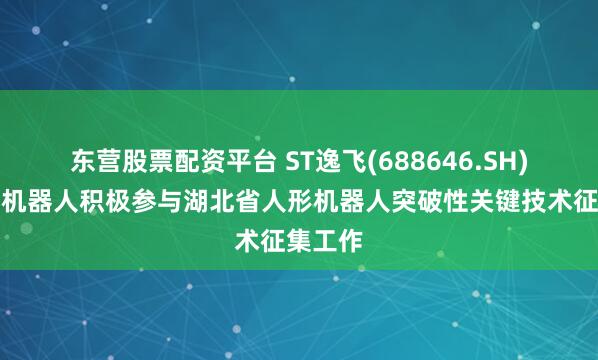 东营股票配资平台 ST逸飞(688646.SH)：荆楚机器人积极参与湖北省人形机器人突破性关键技术征集工作